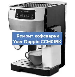 Чистка кофемашины Yoer Doppio CCM01BK от накипи в Воронеже